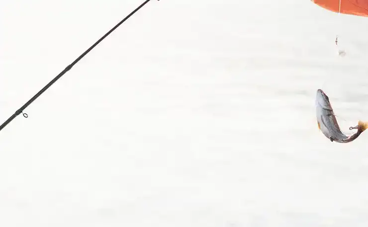 Torneo de Pesca Infantil